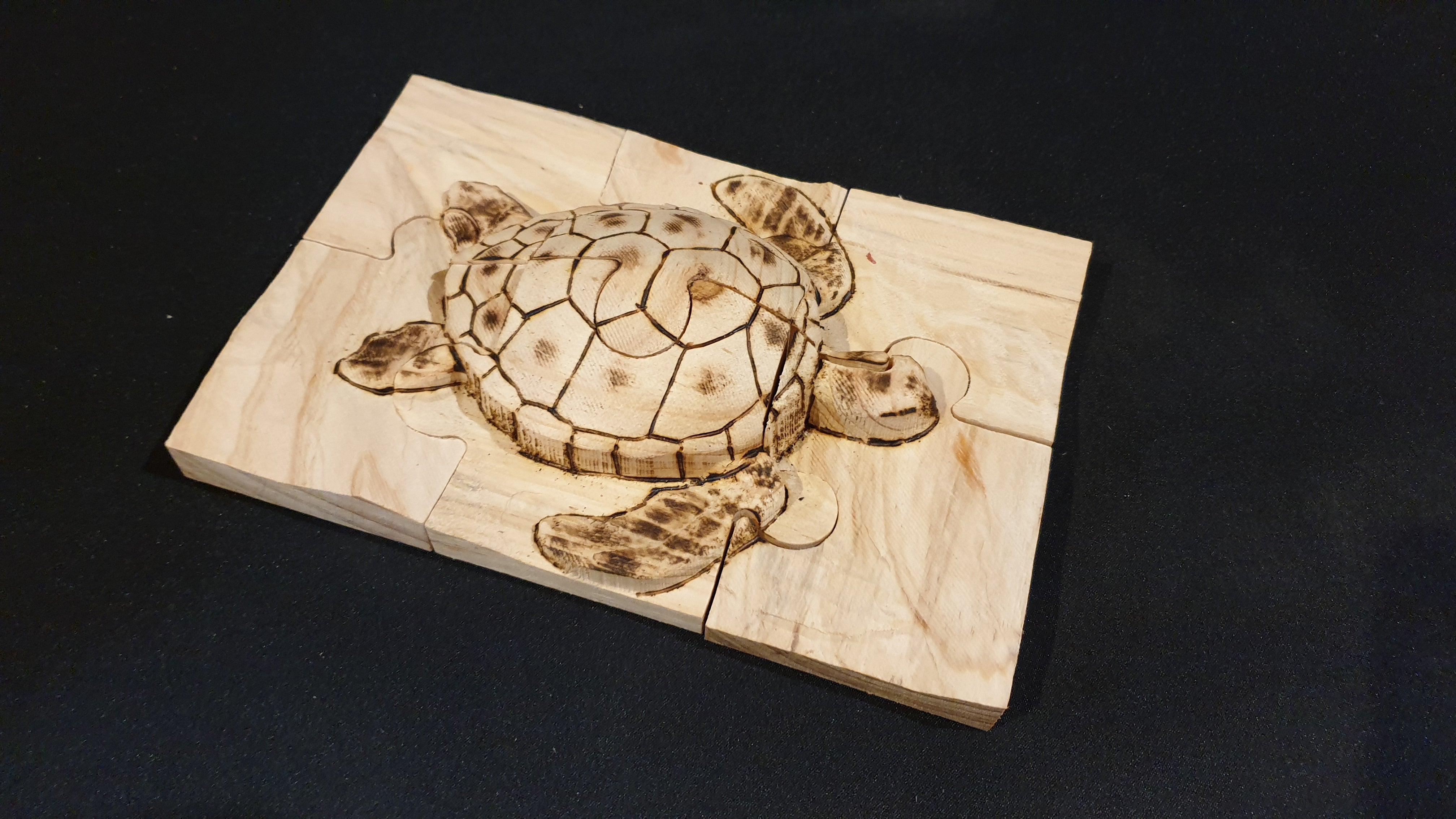 2D3D Puzzle 6 piece turtle