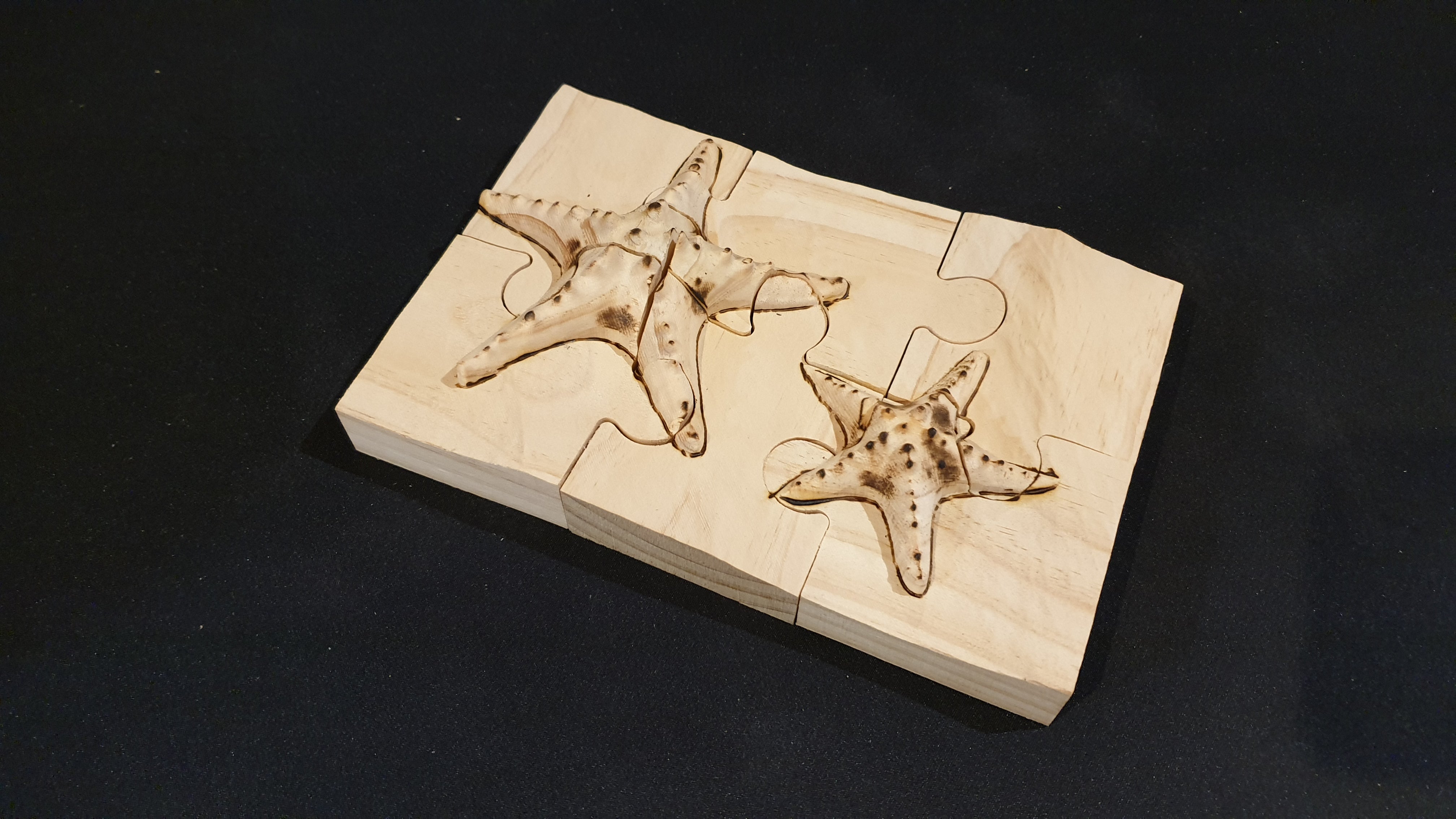 2D3D Puzzle 6 piece starfish