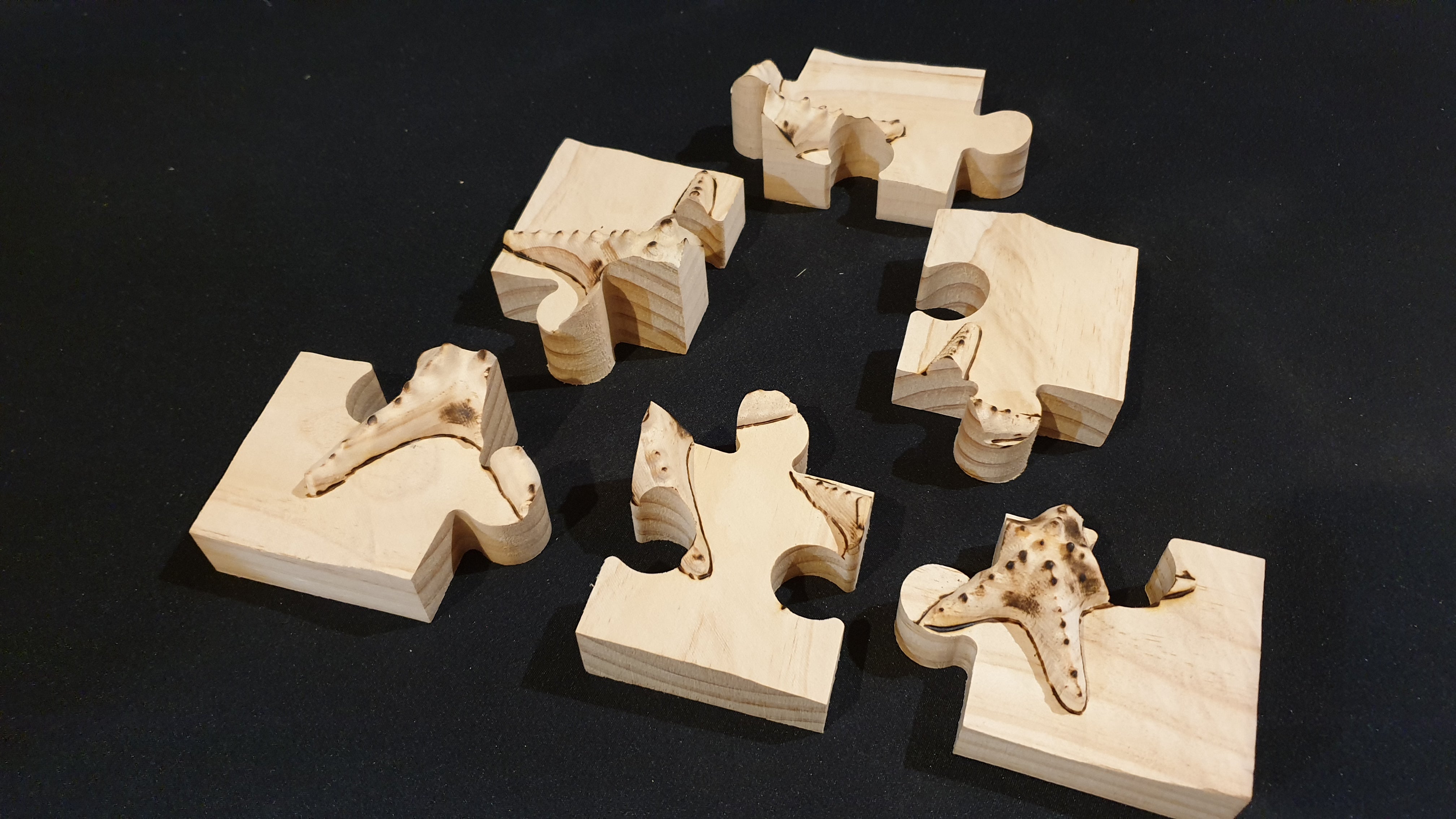 2D3D Puzzle 6 piece starfish