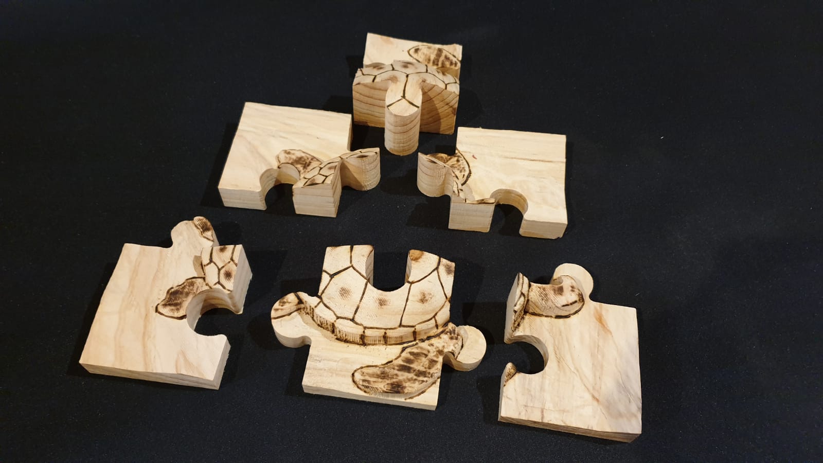 2D3D Puzzle 6 piece turtle